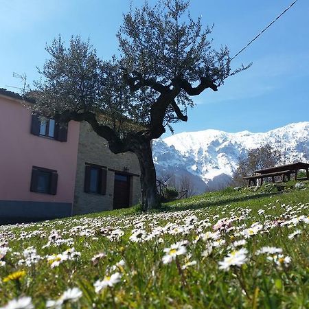 La Via Del Parco Villa Arsita Dış mekan fotoğraf